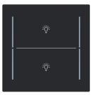 Busch Jaeger LFBT/A.2.70.11-45M Busch-art linear Afdekking 2-voudig voor keypad met symbool “Verlichting” Zwart mat